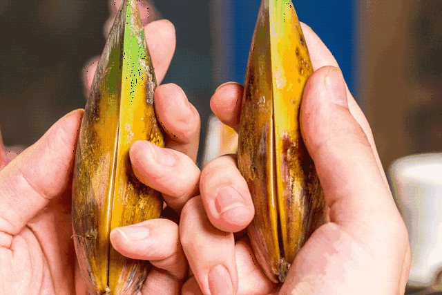 就在这家古典园林式火锅店!