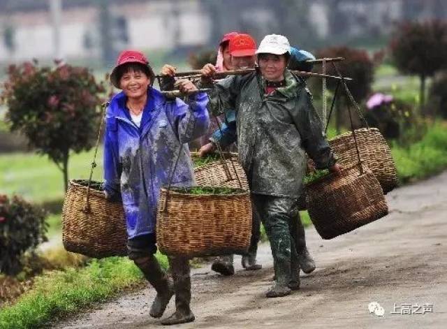 喜迎十九大,致敬劳动美