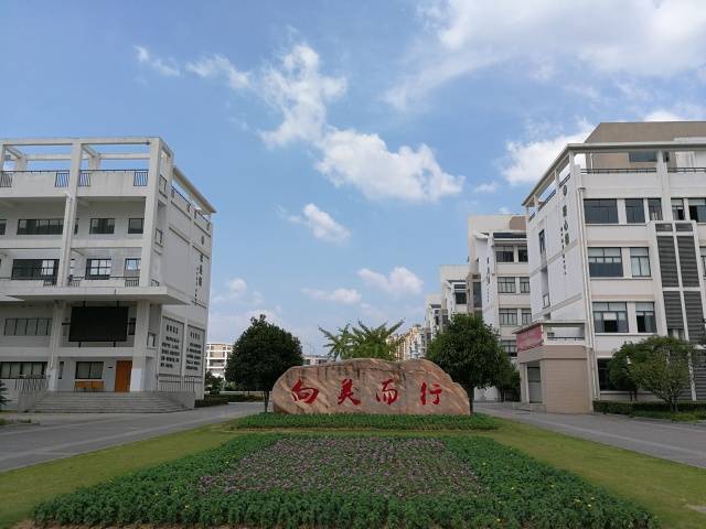 【新教育实验在行动4】 "深化课程改革"东外再扬帆