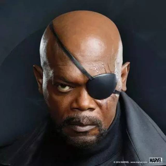 而神盾局长则永远有一副村主任的严肃脸,在几场复联大战中后方指挥.