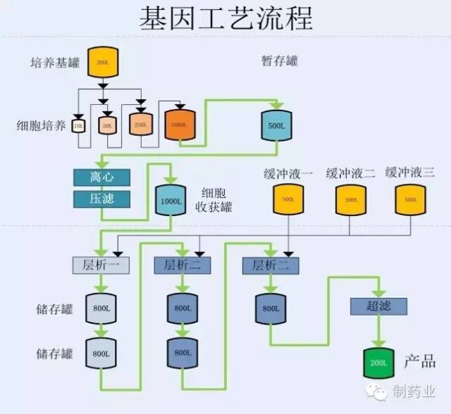 抗生素生产工艺流程图图片