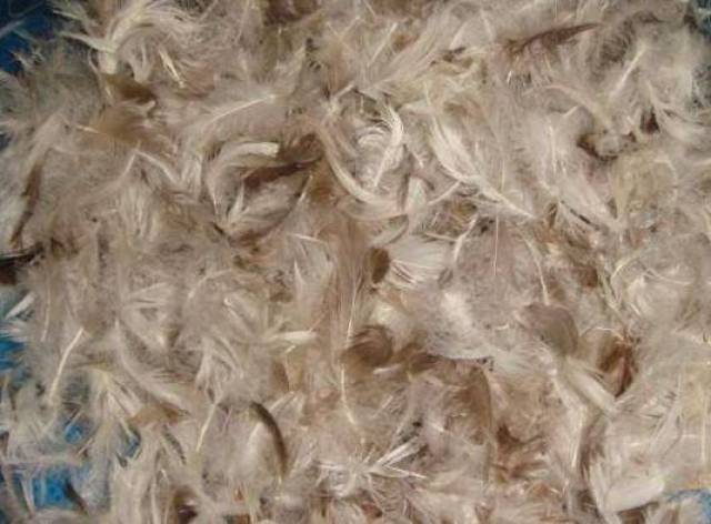 新品上市|可以握在掌心的羽绒服