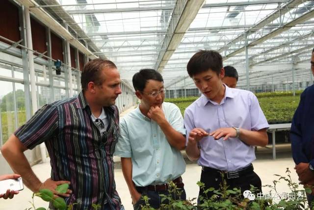 玩转网络的天狼--访苏州市华冠园创园艺科技