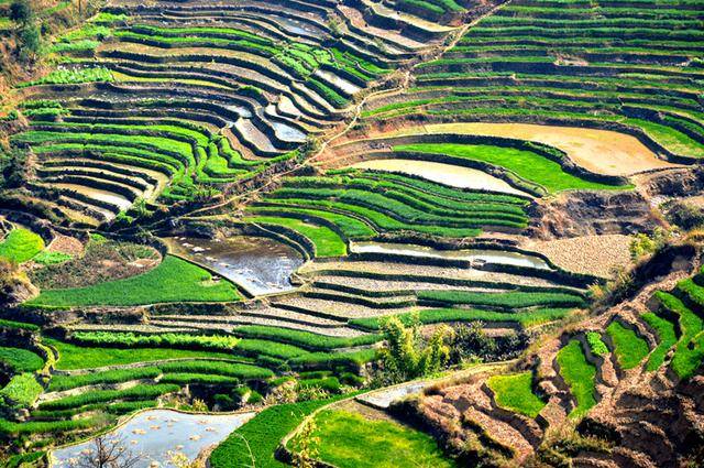 元江之旅:畅游红河谷,寻找太阳城