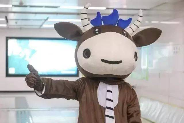 深圳的梦想大使—— 犇犇