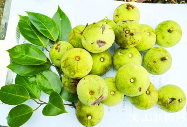 通过治"石"实现治"贫",我滴大广南,你不低调了