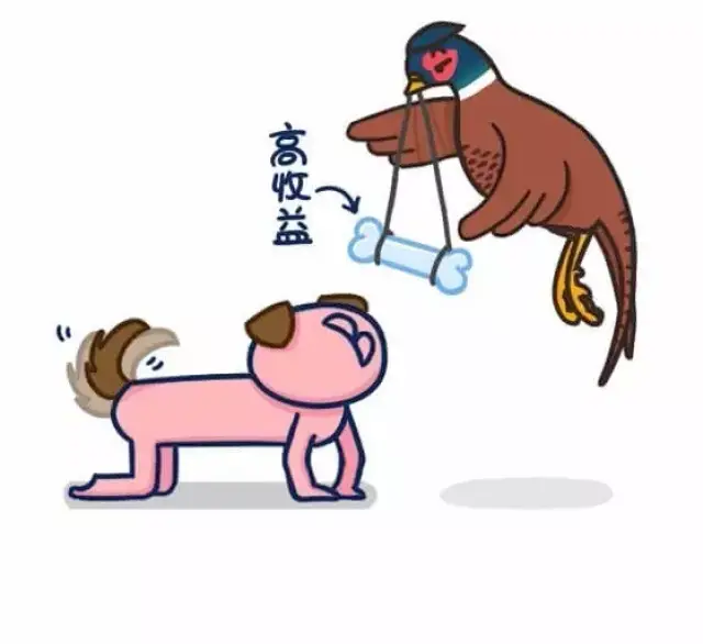如何避免掉入野鸡平台的陷阱念钱安小课堂