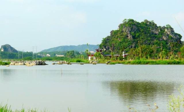 北流會仙河公園有火蟻出沒,咬傷後要人命,有人已經中招!