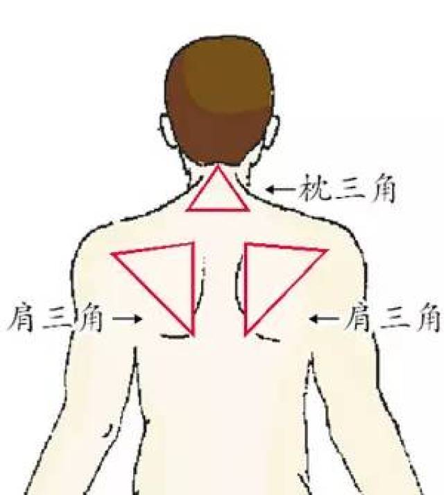 正确的后背刮痧图片,刮痧位置示意图,痧图(第8页)_大山谷图库