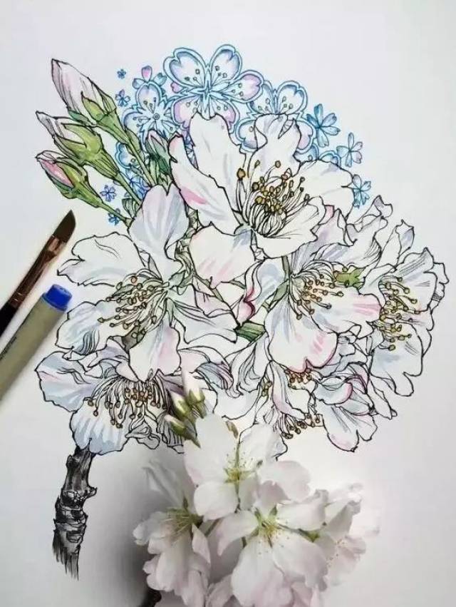 其实 画针管笔也可以跟许多材料搭配使用 比如:水彩,彩色粉笔,彩铅