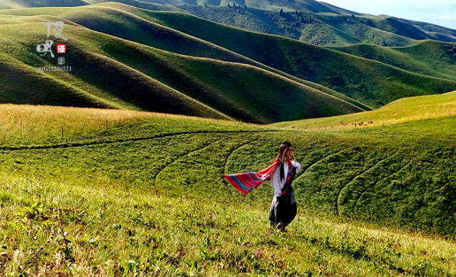 手机也能出大片风景人像篇