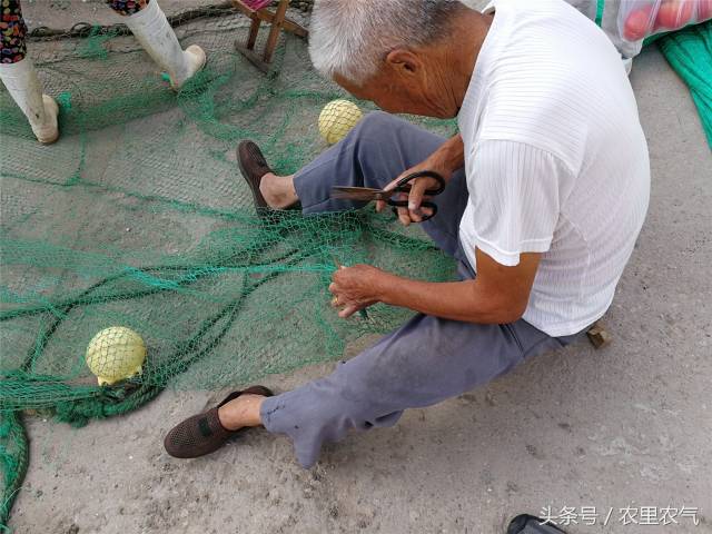 渔网制造行业的现状与未来趋势