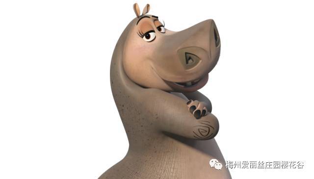 梅州首届花雕艺术展浪漫来袭,超级月亮空降爱丽丝!
