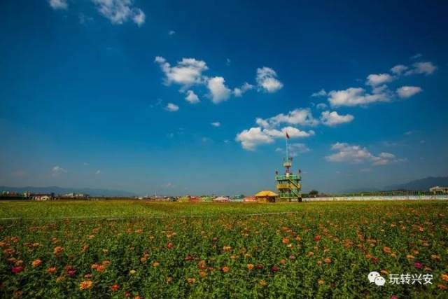 君杰生态园兴安首个儿童户外拓展生态园国庆节隆重开业