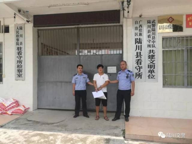 该案经陆川县公安局交通管理大队处理,认定何某伟承担此交通事故的