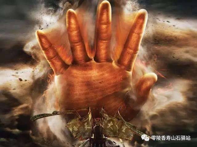 世间不离一佛手——全瑞炳佛手作品集_搜狐网