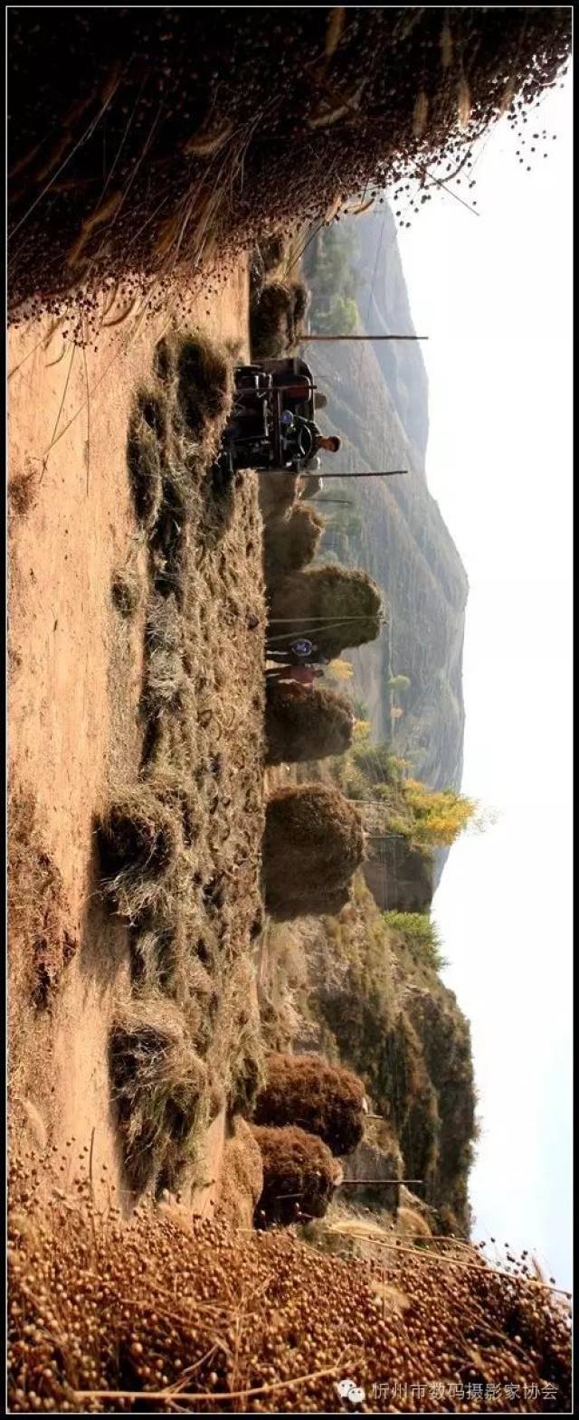 农村人生活真实的一幕,烧山牙/放羊……看完没几个人不落泪!