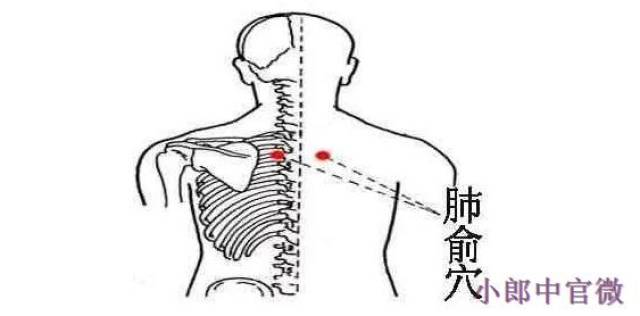 2,擦后背肺俞部位至局部发热 肺俞穴位置:第三胸椎棘突下旁开1.5寸.