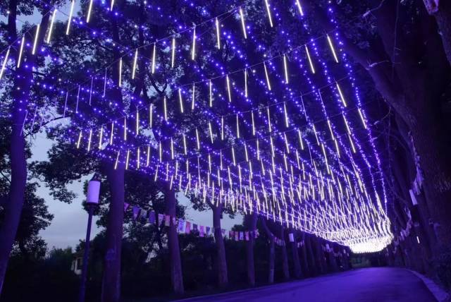 户外照明新趋势：照亮不一样的风景