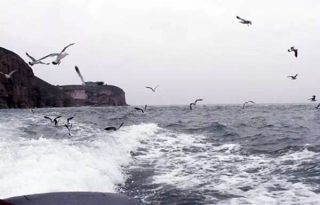 乘新鉴真号、苏州号邮轮,赴日本10日深度游,超