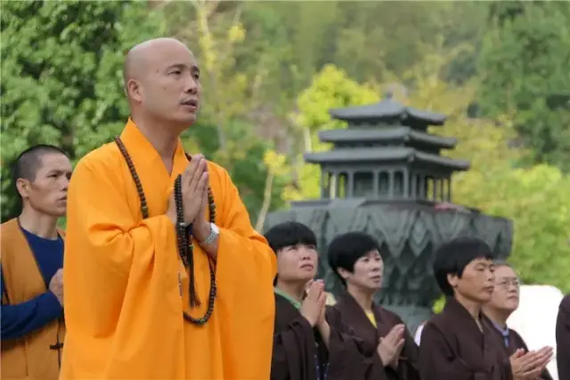 合手礼合掌礼,合掌礼,合手礼(第15页)_大山谷图库
