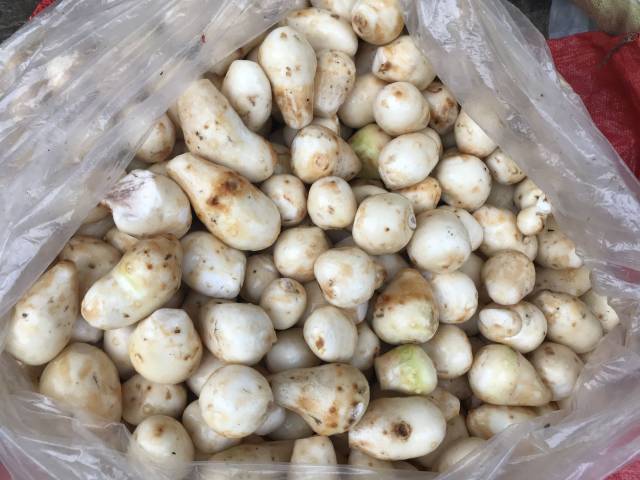 大姐分类卖芋头 内行能做美食多