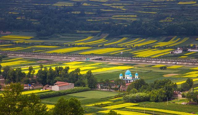 漳县有一个 | 国家发布了全国重点镇名单!