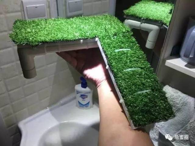 说实话,这样的绿色晒台,我也想要