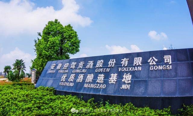 十一旅游哪里去,迎驾酒厂走一遭