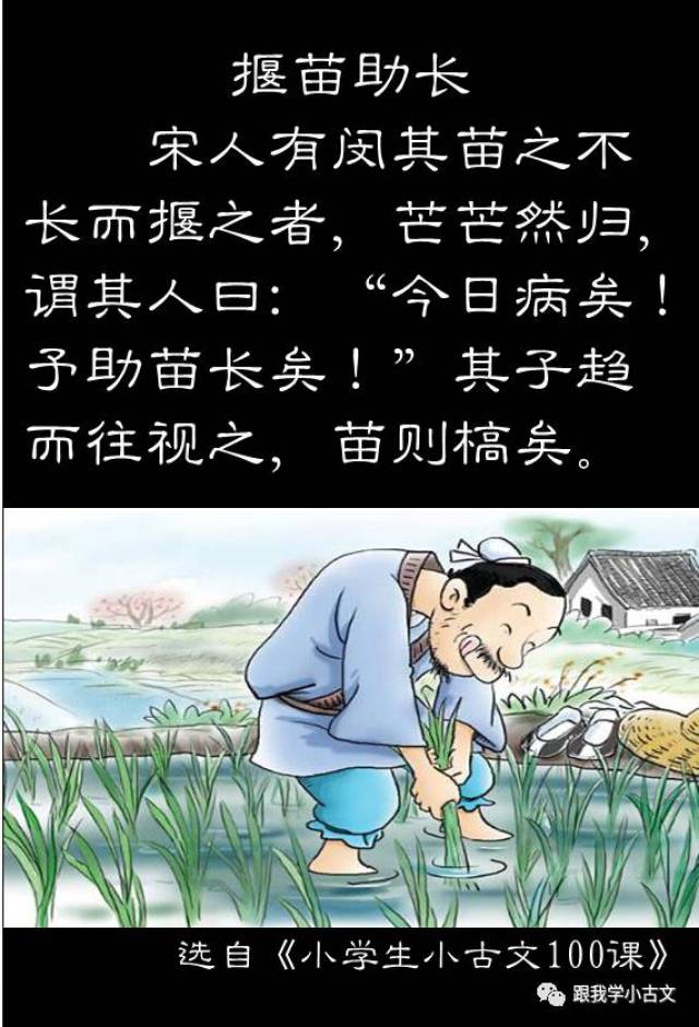 小学生揠苗助长手抄报