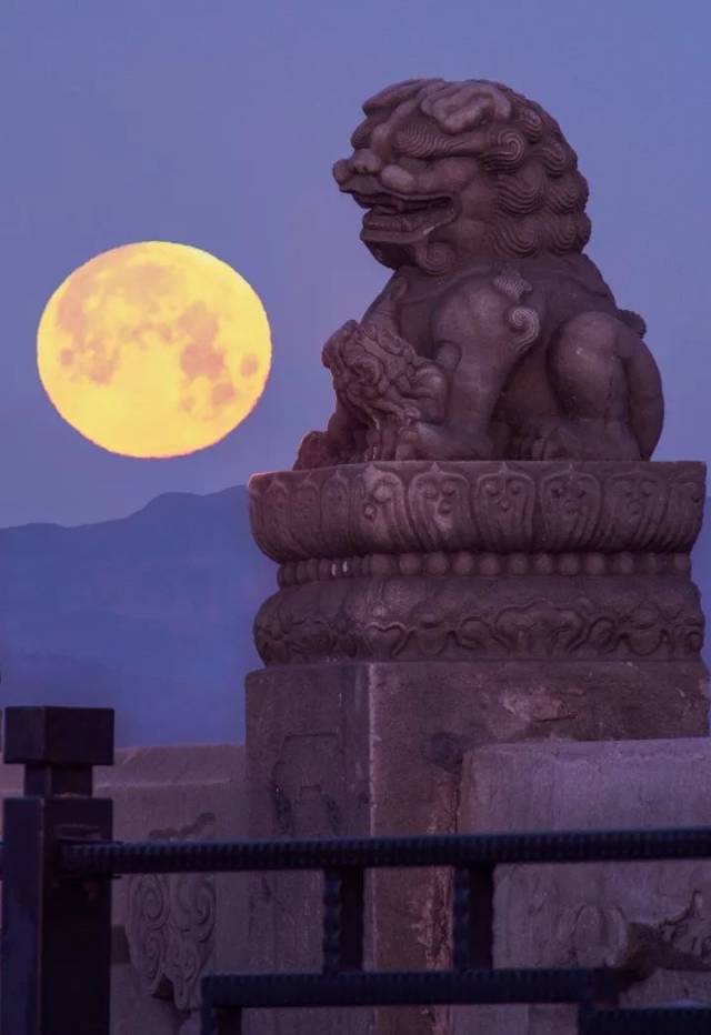 又到中秋观月夜 采撷数枚照君心