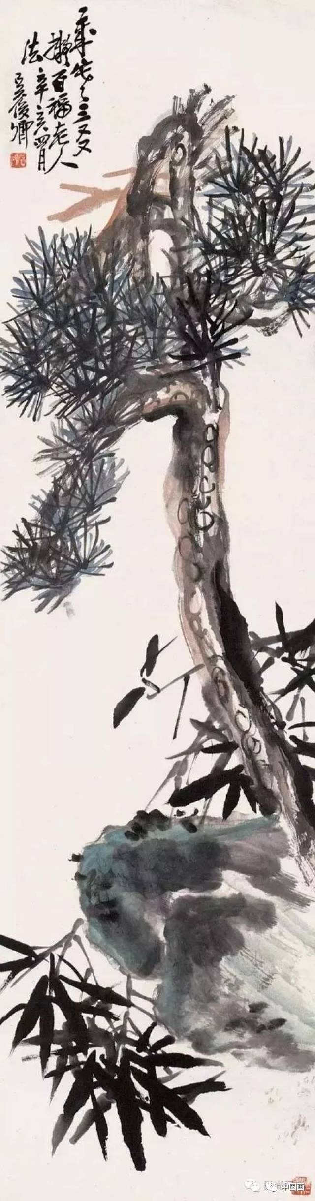 一起来看看吴昌硕笔下的松树
