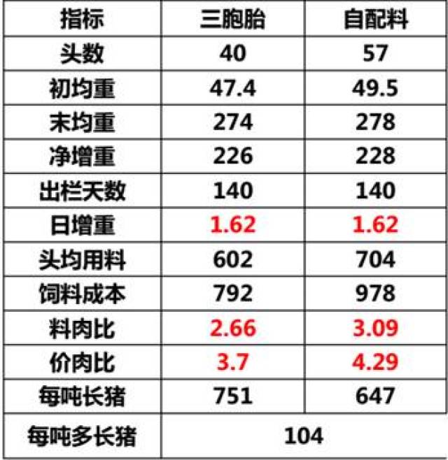 猪料肉比对照表照片图片