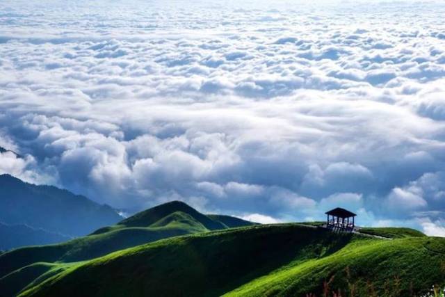 昨天《新闻联播》推荐了武功山草甸星空户外营