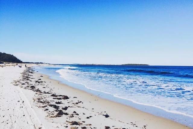 男友用新表情, 是不是外面有狗了?