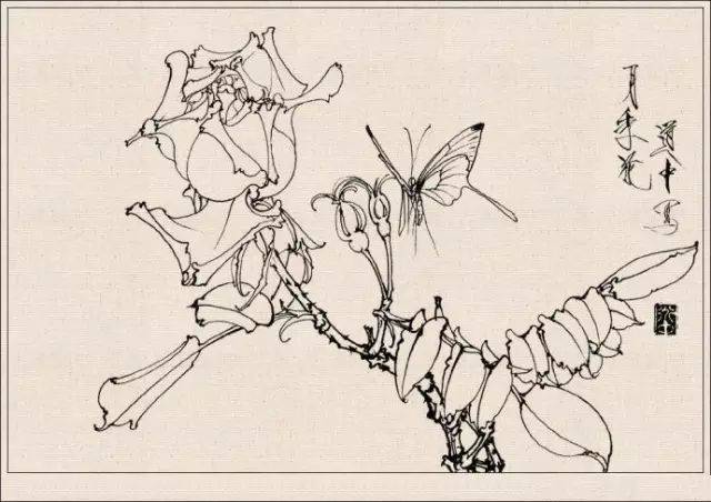 经典《白描花卉草虫集》王道中作品欣赏!