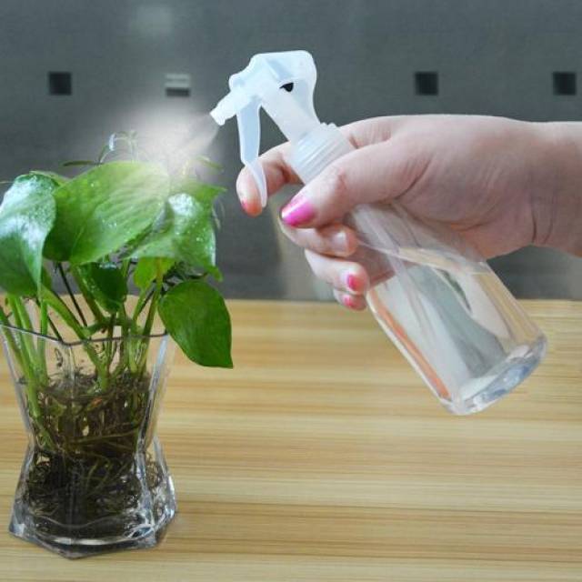 涨姿势!植物严重缺水后千万别只浇水