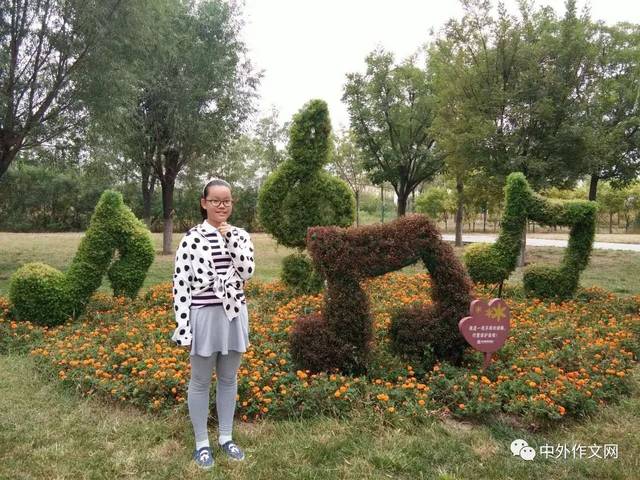 【天津】刘晴《四叶草之歌》