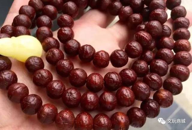 记住这三点,盘出一串闪瞎众人双眼的高逼格凤眼菩提!