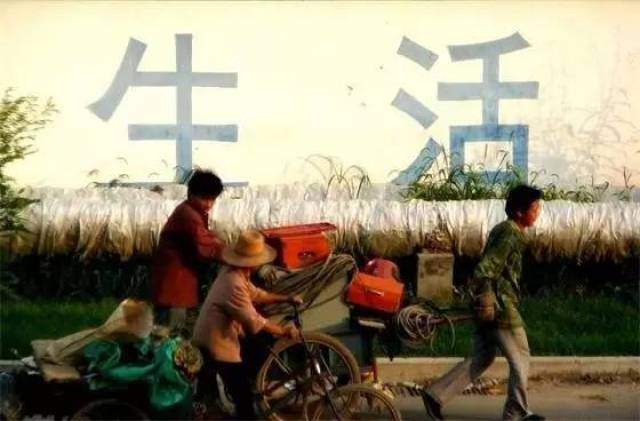 人的一生都在为这4样东西而奔波