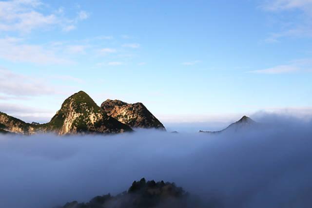 華山天氣放晴現雲海奇觀,今迎假日首個客流小高峰