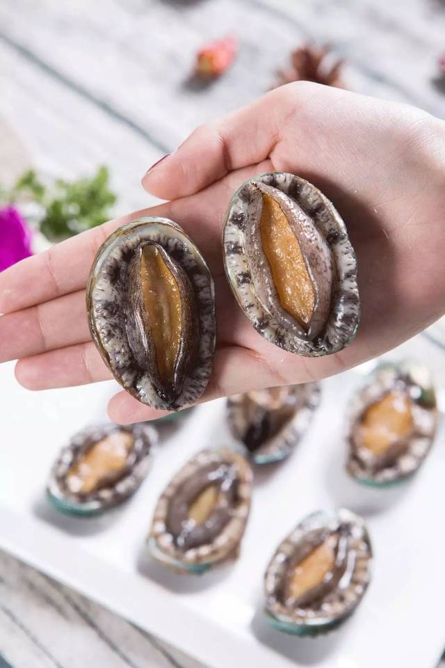 天津惊现平价海鲜火锅08元吃大虾38元吃生蚝到店还送5只鲍鱼