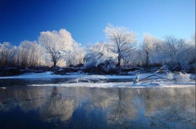 黑龙江又下雪啦!大兴安岭2017年第一场秋雪 银装素裹美如画