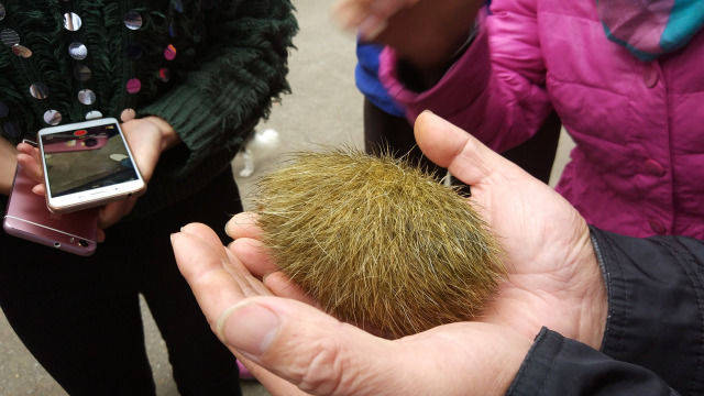 到底是个啥这么值钱捏?word天,发达了啊!