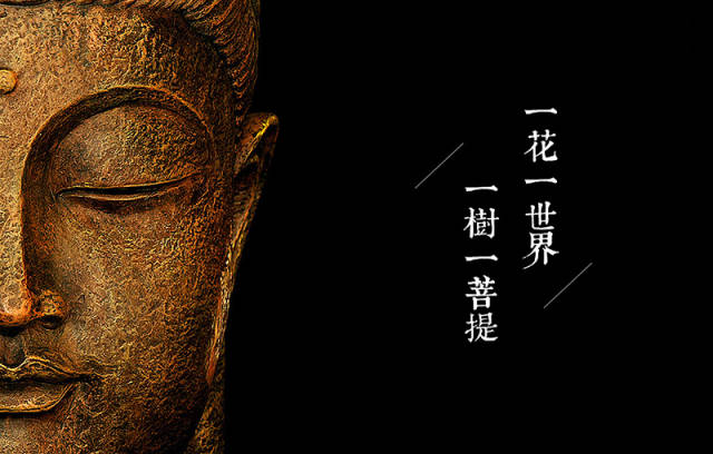 一花一世界一树一菩提 竹意竹趣竹静