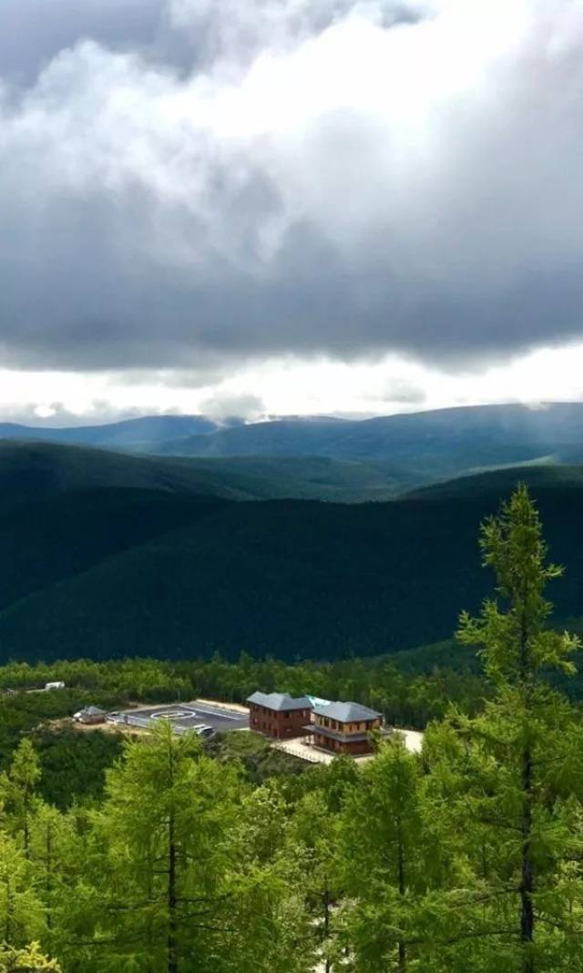 风物| 2017年新品·香甜的俄罗斯雪松仁_手机搜狐网