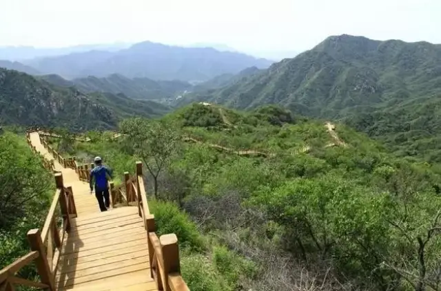 蟒山国家森林公园登山步道