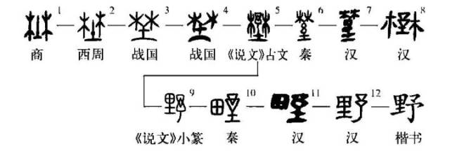 甲骨文為會意字,從林,從土,此一系後增