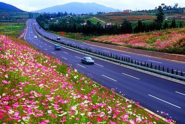 昆石高速公路石林立交橋