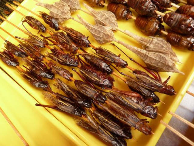 烧烤界的泥石流,这些黑暗料理看着就心里发毛,打死不敢吃求放过!